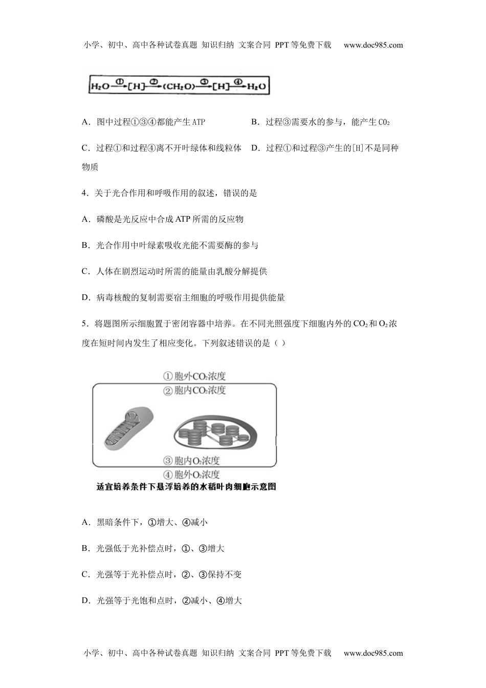 高一生物5.4.2 光合作用与能量转换 练习【新教材】人教版（2019）高中生物必修一.docx