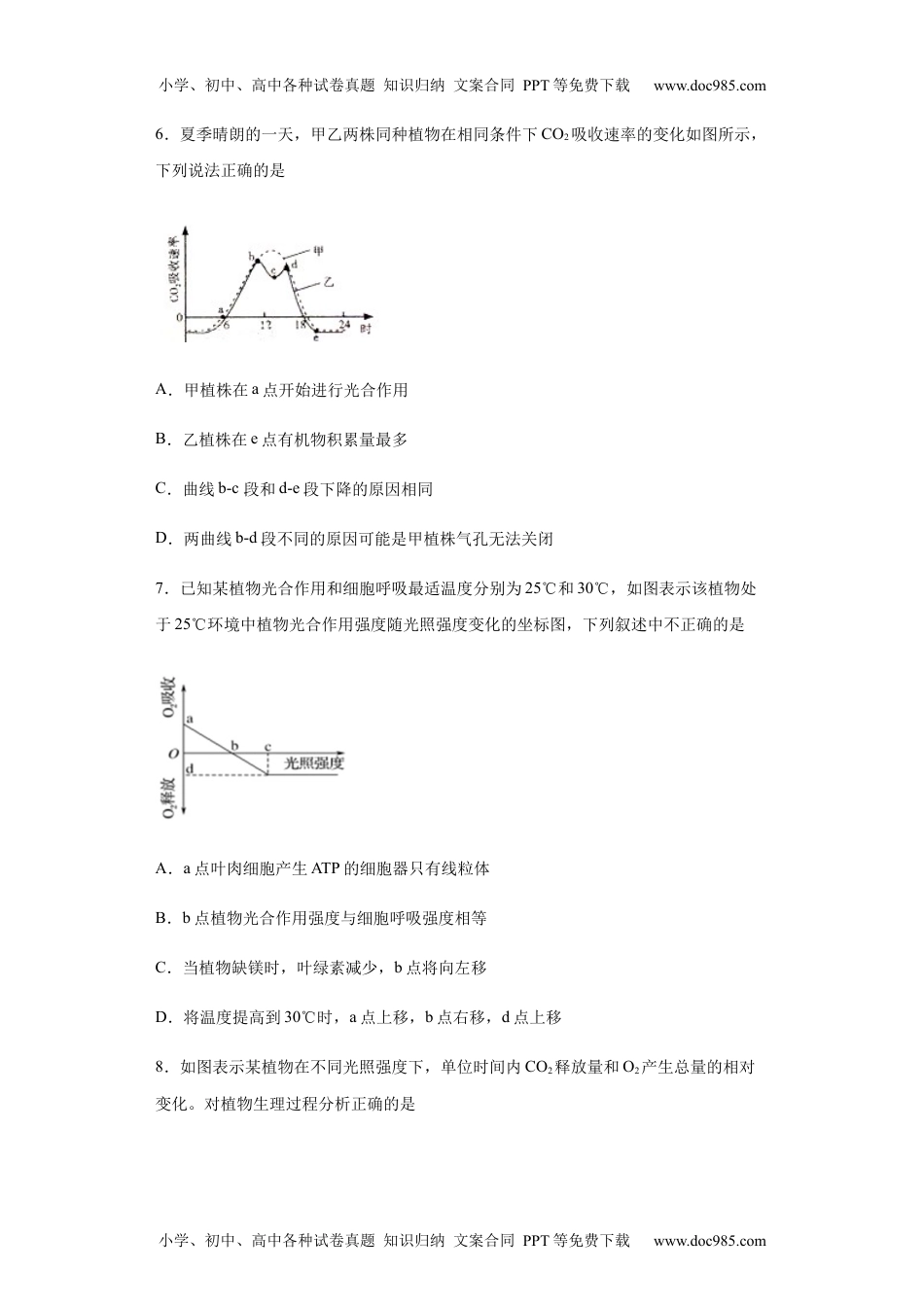 高一生物5.4.2 光合作用与能量转换 练习【新教材】人教版（2019）高中生物必修一.docx