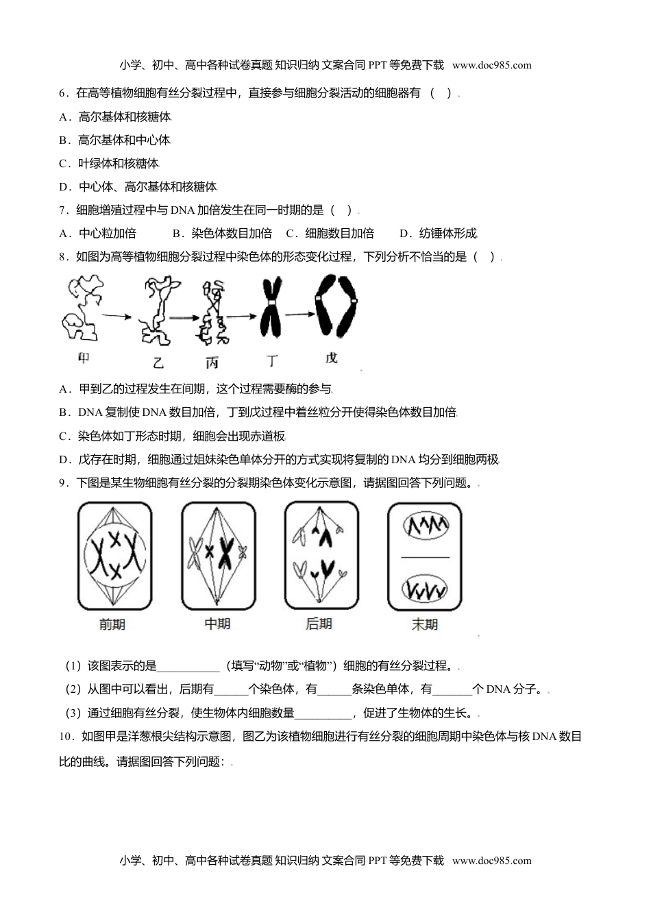 高一生物6.1  细胞的增殖-高一生物课后培优练（人教版2019必修1）（原卷版）.doc