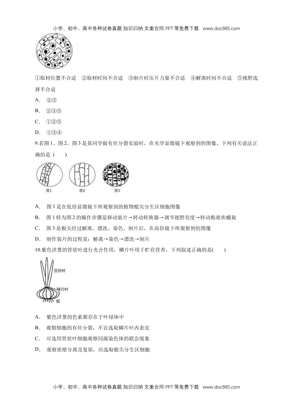 高一生物6.1.2 细胞增殖 练习（1）（原卷版）.docx