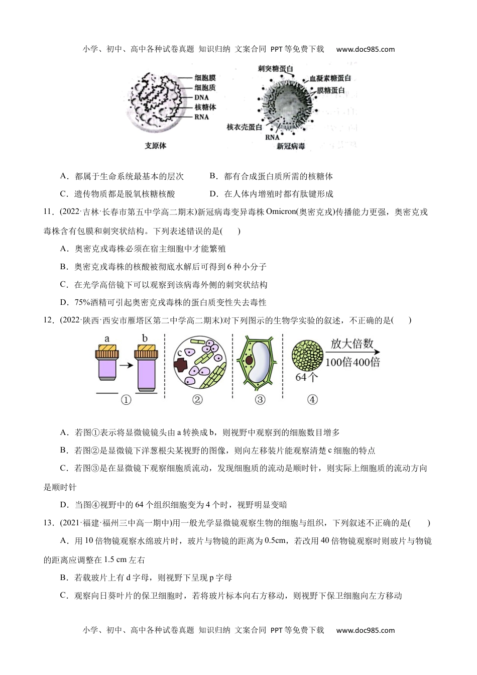 高一生物第1章 走近细胞（B卷·能力提升练）（原卷版）  .docx