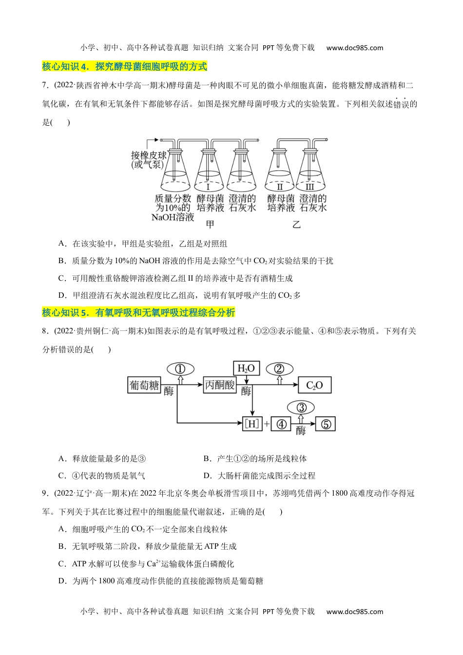 高一生物第5章  细胞的能量供应和利用（A卷·知识通关练）（原卷版） .docx