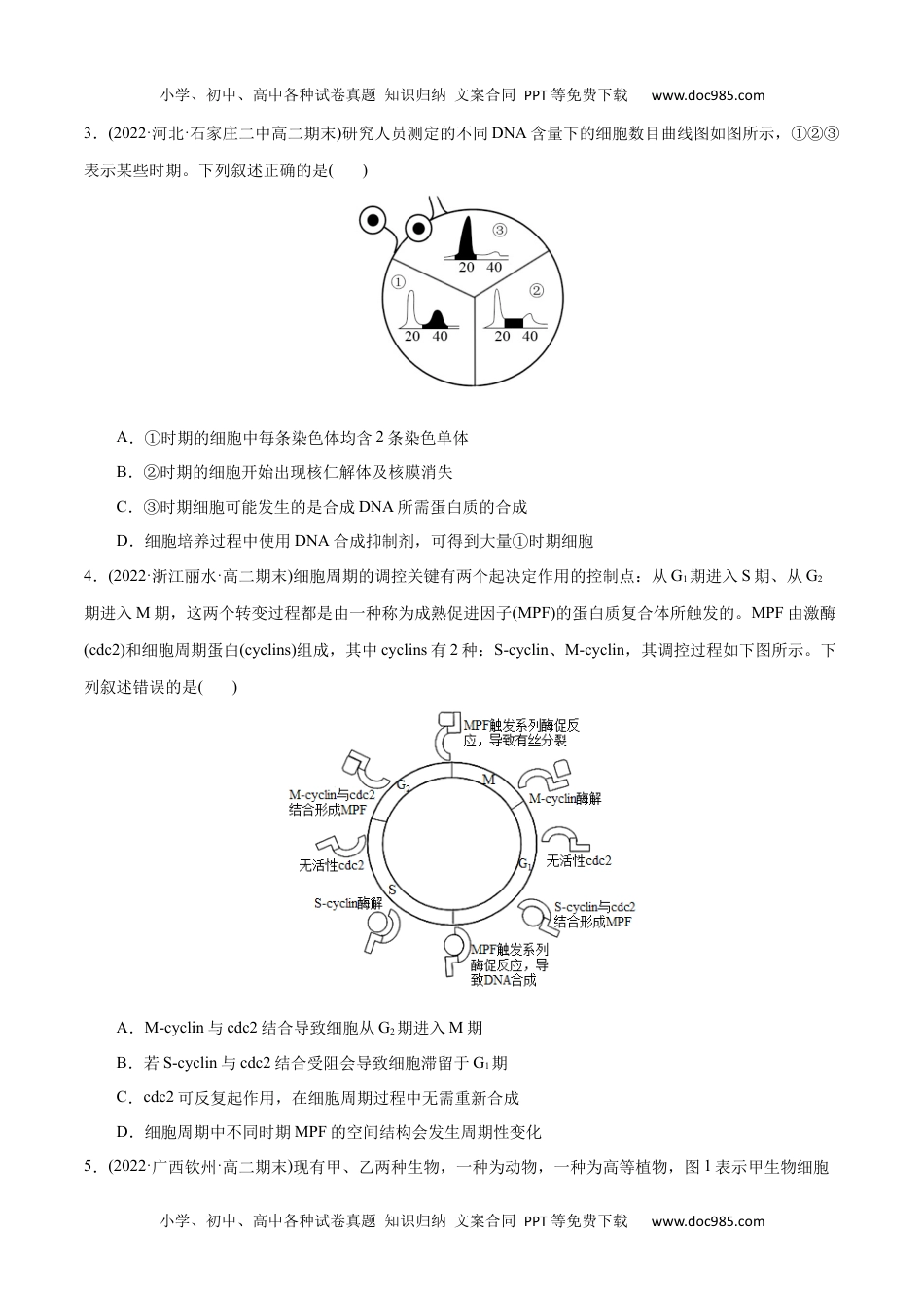 高一生物第6章  细胞的生命历程（B卷·能力提升练）（原卷版） .docx