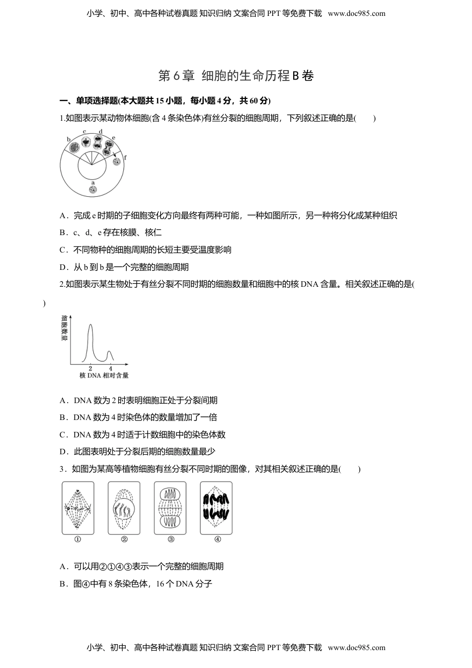 高一生物第6章 细胞的生命历程B卷（原卷版）.doc