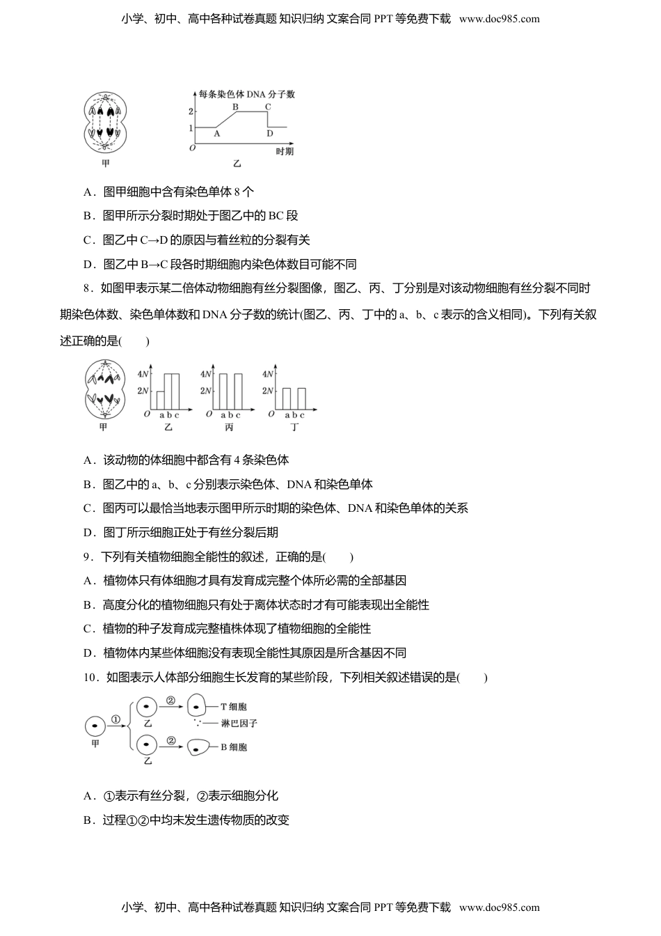 高一生物第6章 细胞的生命历程B卷（原卷版）.doc