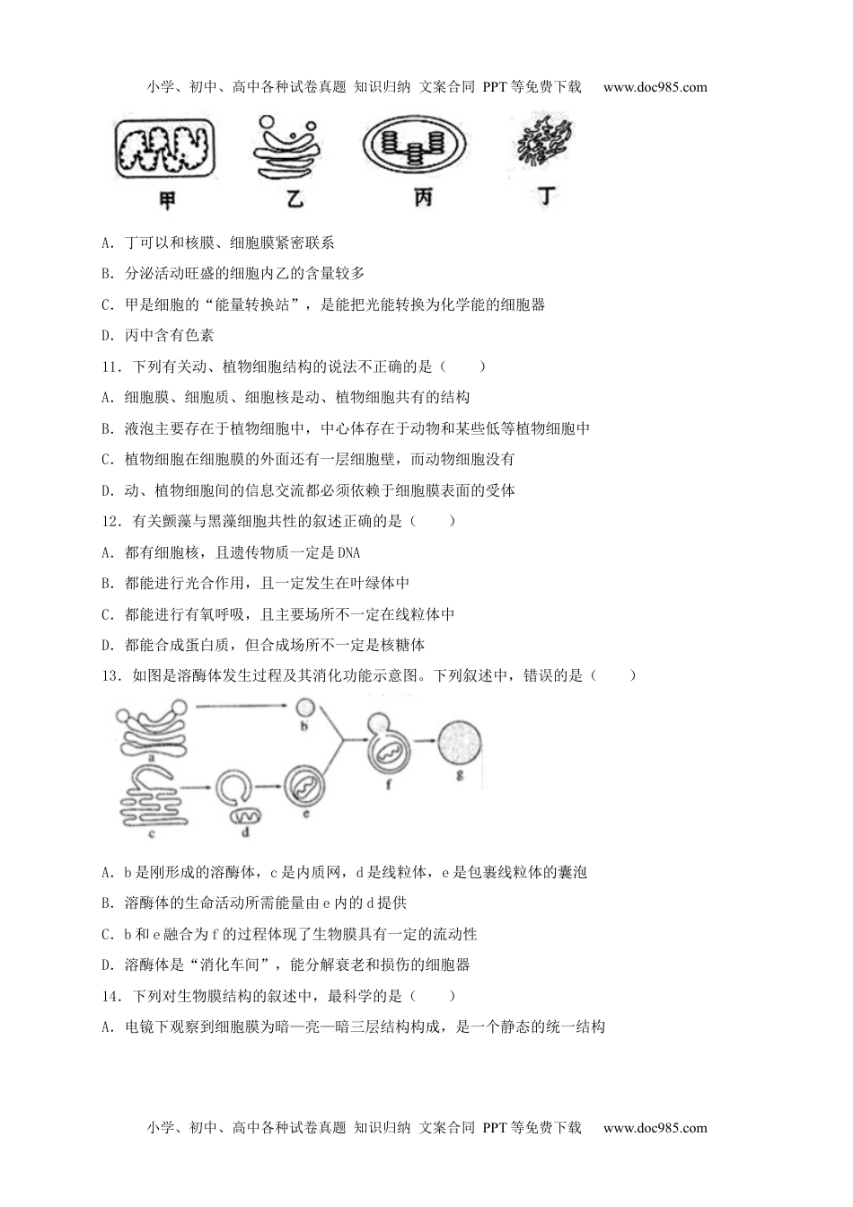 高一生物高一生物上学期期末测试卷02（人教版必修1）（原卷版）.docx