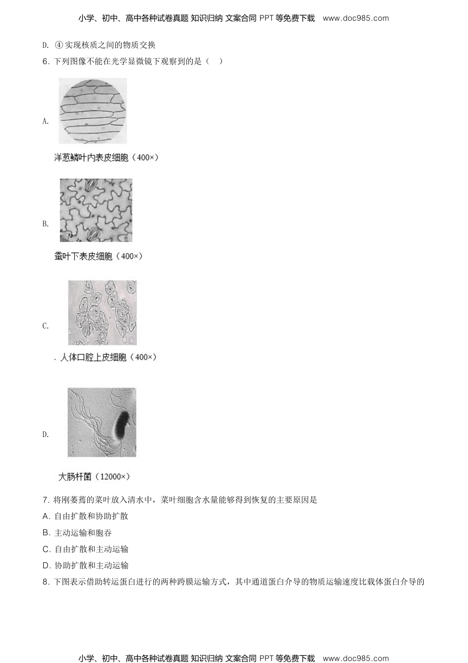 高一生物精品解析：北京丰台区高一上学期期末生物试题（原卷版）.doc