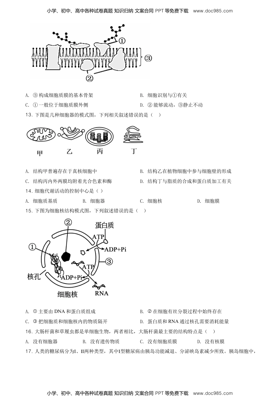 高一生物精品解析：江苏省南京市高一上学期期末学情调研生物试题（原卷版）.doc