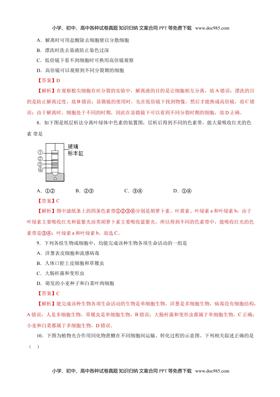 高一生物人教版必修1期末（A卷 基础过关检测）-高考生物一轮复习单元滚动双测卷（新高考地区专用）（解析版）.doc