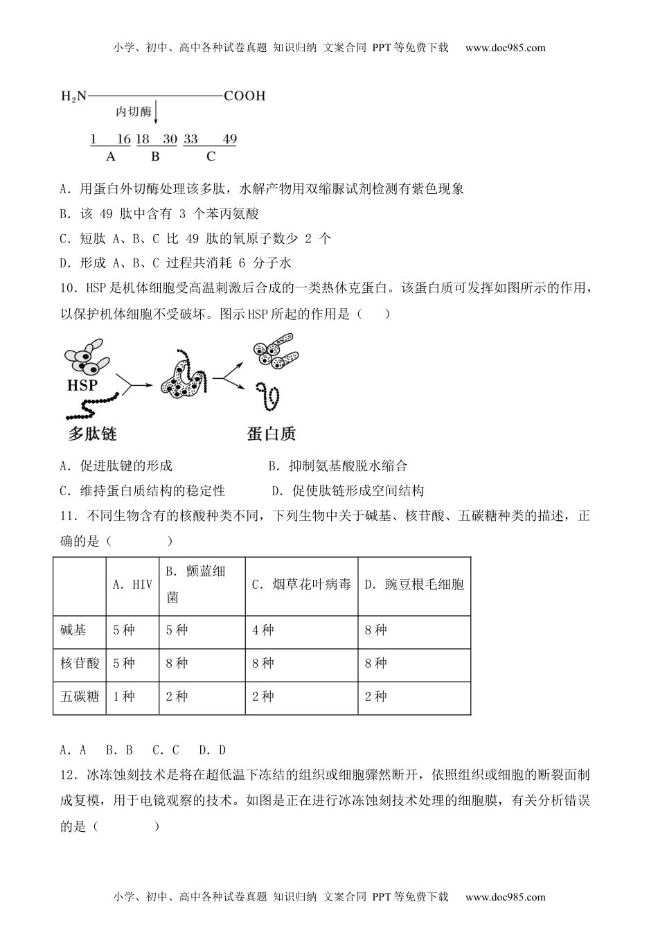 高一生物综合拉练卷02（原卷版）.docx