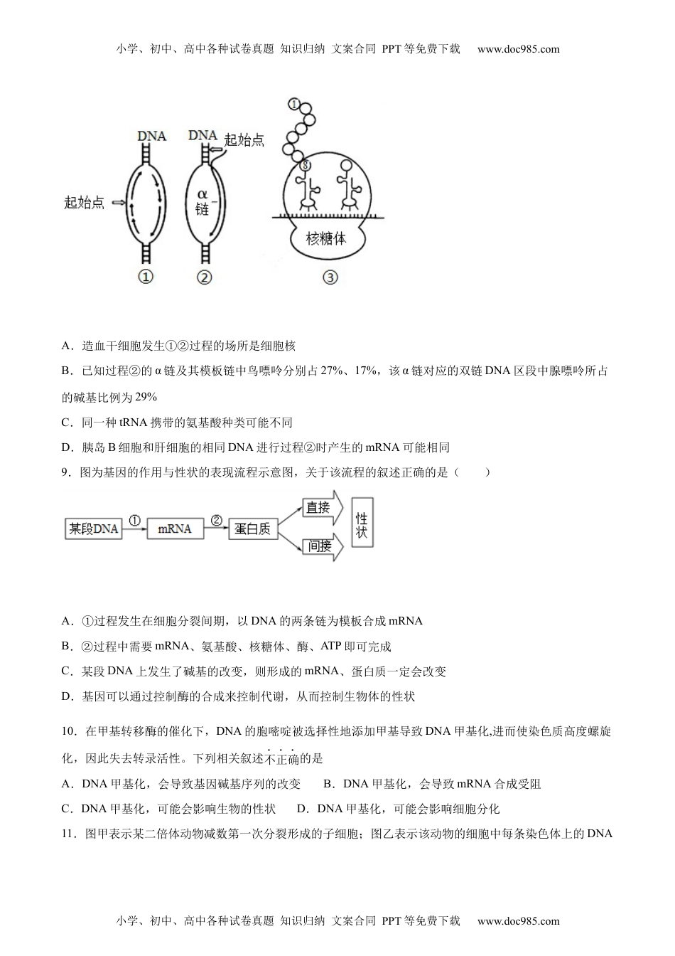 期末押题02-高一生物下学期期末专项复习（人教版2019必修2）（原卷版）.docx