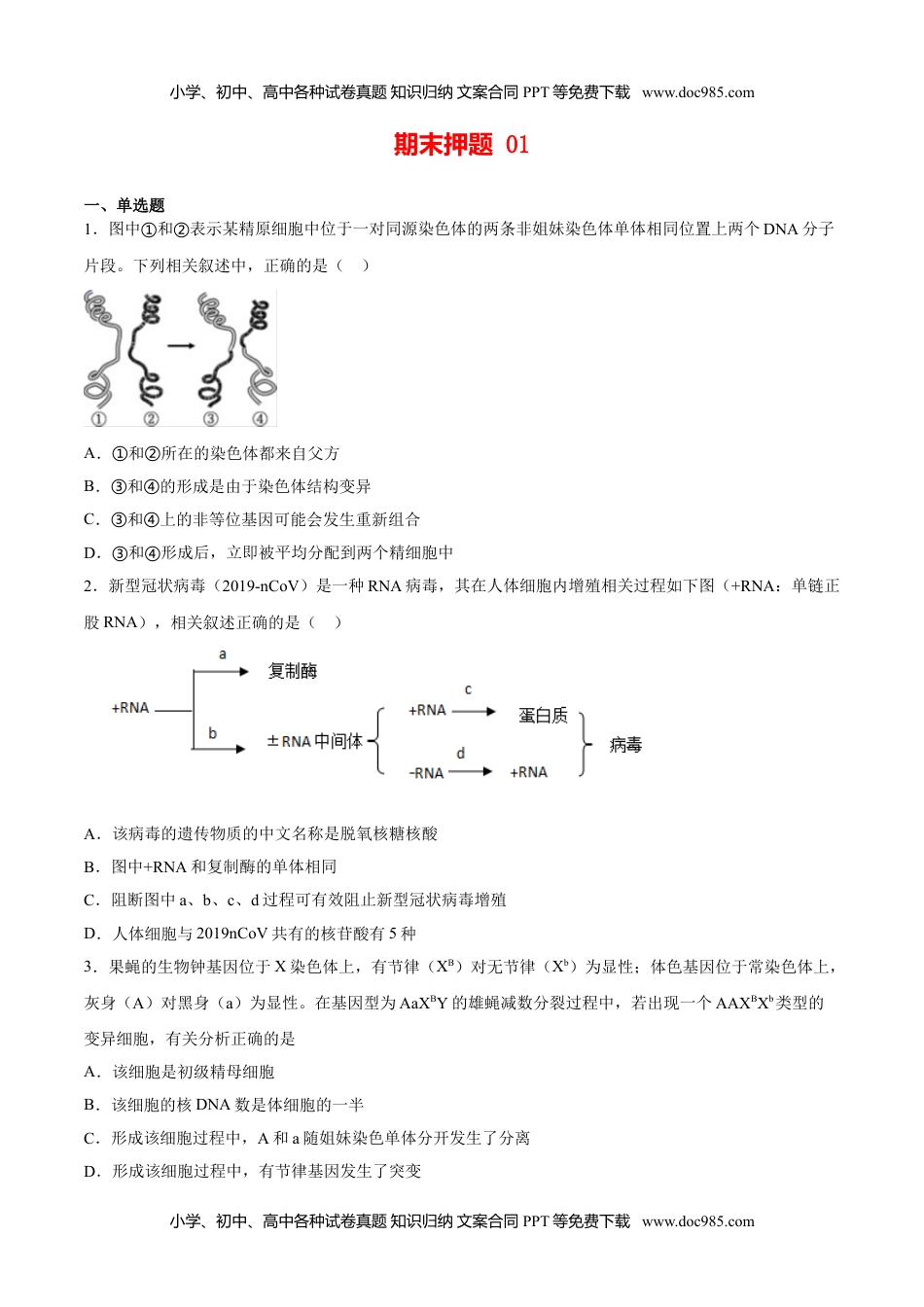 期末押题01-高一生物下学期期末专项复习（人教版2019必修2）（原卷版）.doc