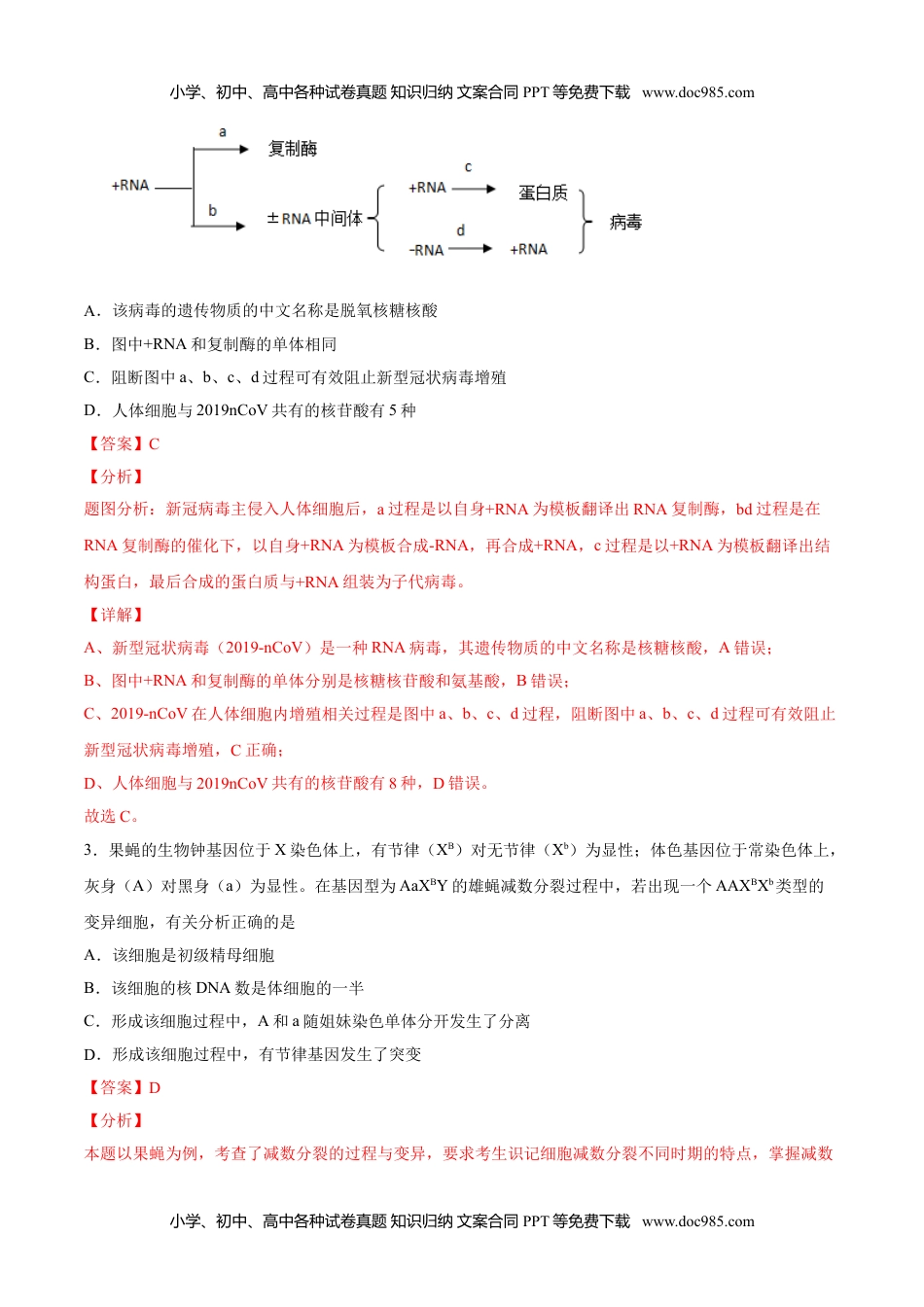 期末押题01-高一生物下学期期末专项复习（人教版2019必修2）（解析版）.doc