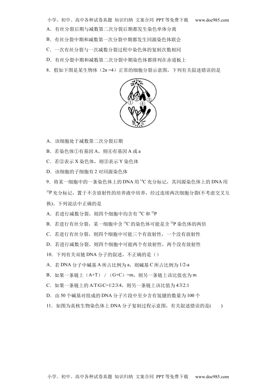 期末拔高卷3-【冲刺期末】高一生物下学期期末拔高冲刺卷（2019人教版）（原卷版）.docx