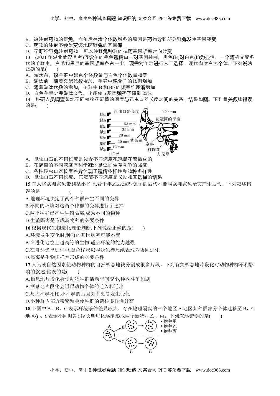 高一生物第6章 生物的进化（原卷版）.docx