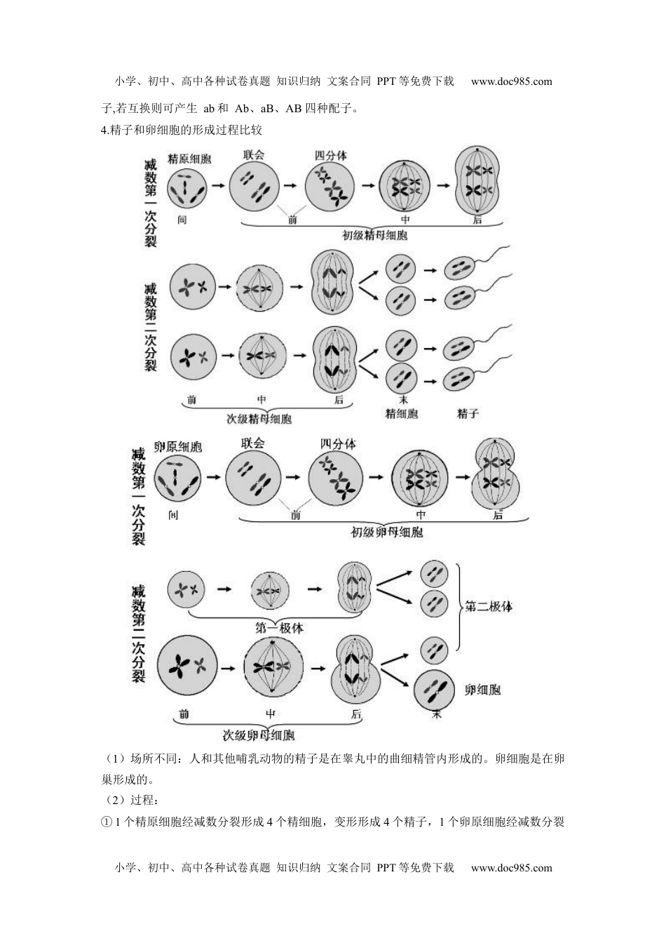 高一生物2.1 减数分裂和受精作用（原卷版）.docx