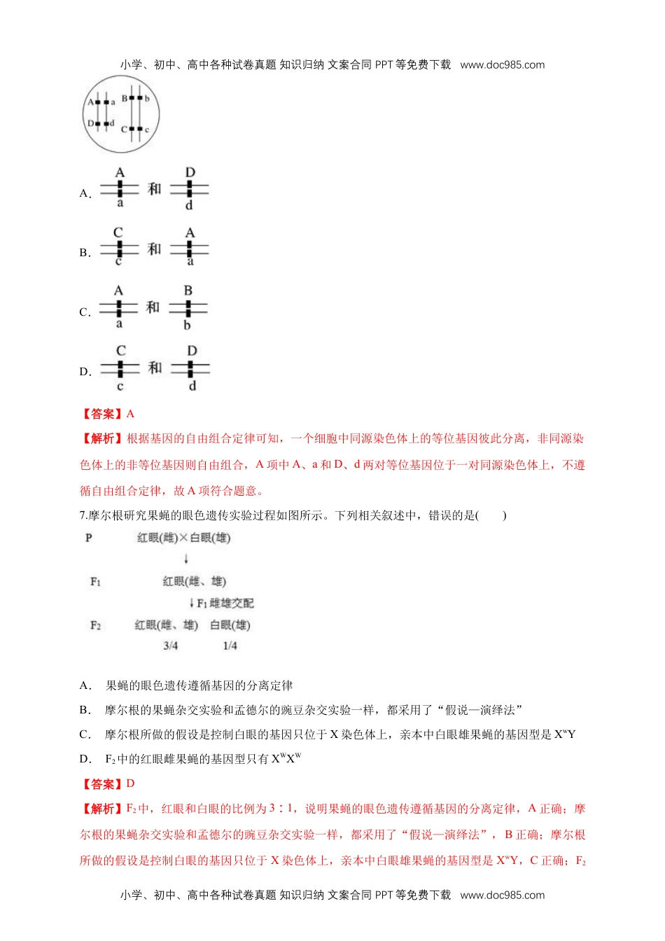 高一生物【新教材精创】2.2 基因在染色体上 练习（1）（解析版）.docx