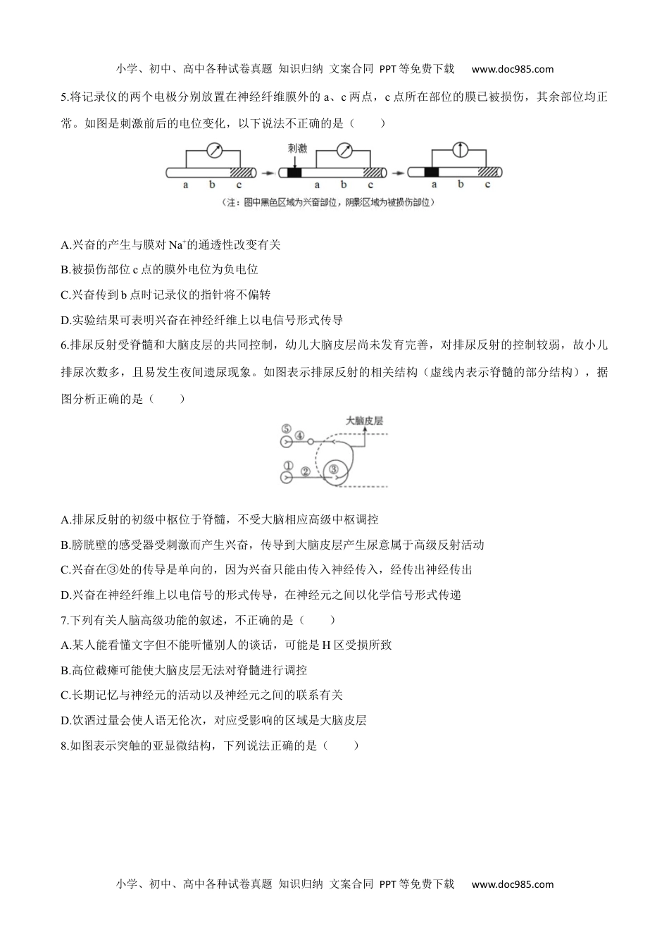 第2章 神经调节（测试卷）-高二生物章末检测卷（人教版2019选择性必修1）（原卷版）.docx