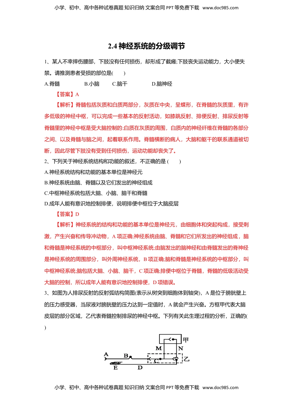 高二生物2.4 神经系统的分级调节（练习）（解析版）.doc