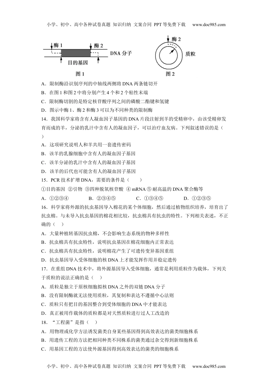 第3章 基因工程（基础突破卷）-2022-2023学年高二生物基础与培优高效突破测试卷（人教版2019选择性必修3）（原卷版）.docx