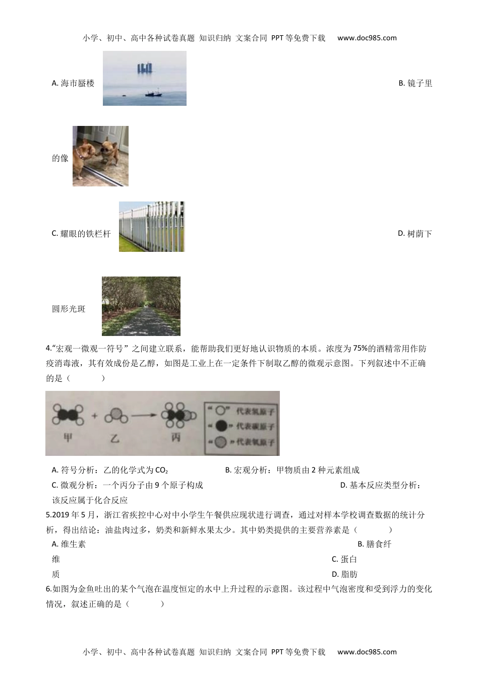 2020浙江金华科学试卷+答案+解析 (word整理版)历年中考真题 电子版免费下载.docx