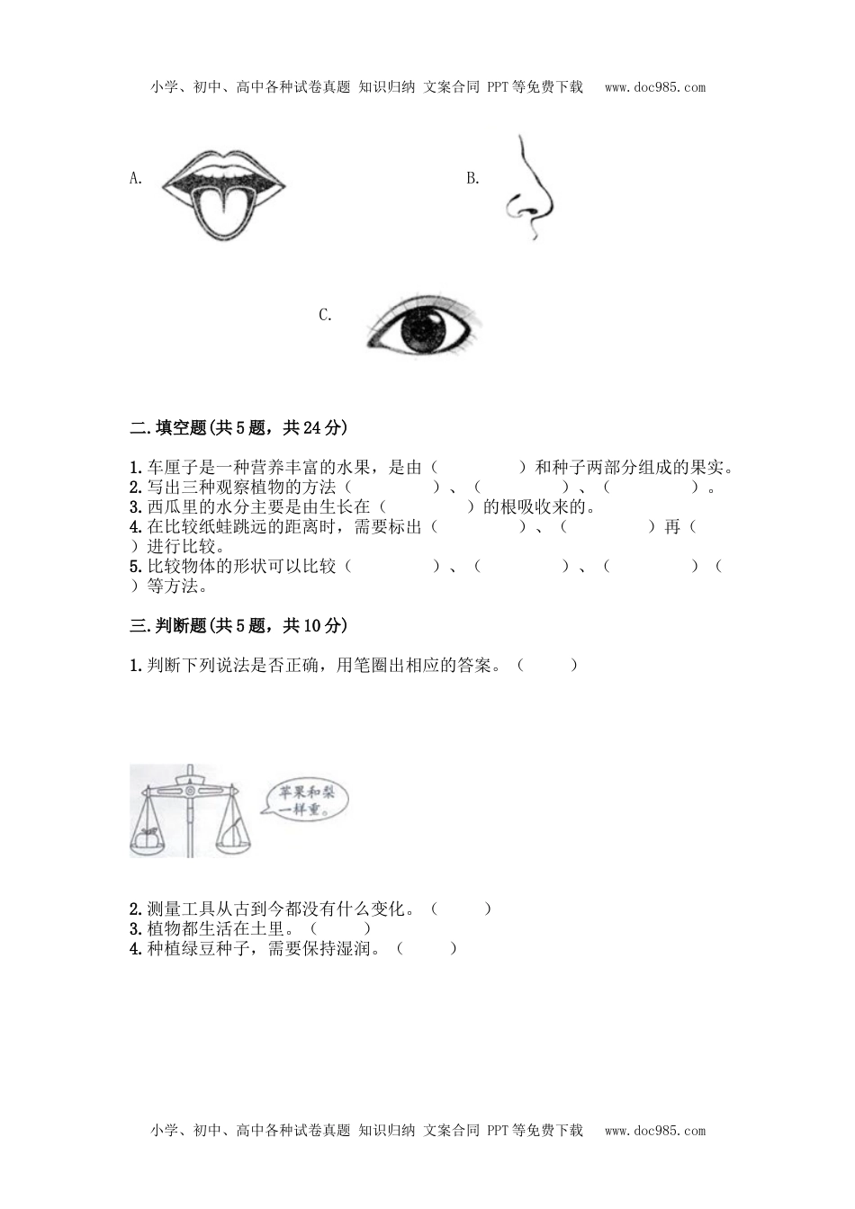 一年级科学上册教科版一年级上册科学期末测试卷 (2).docx