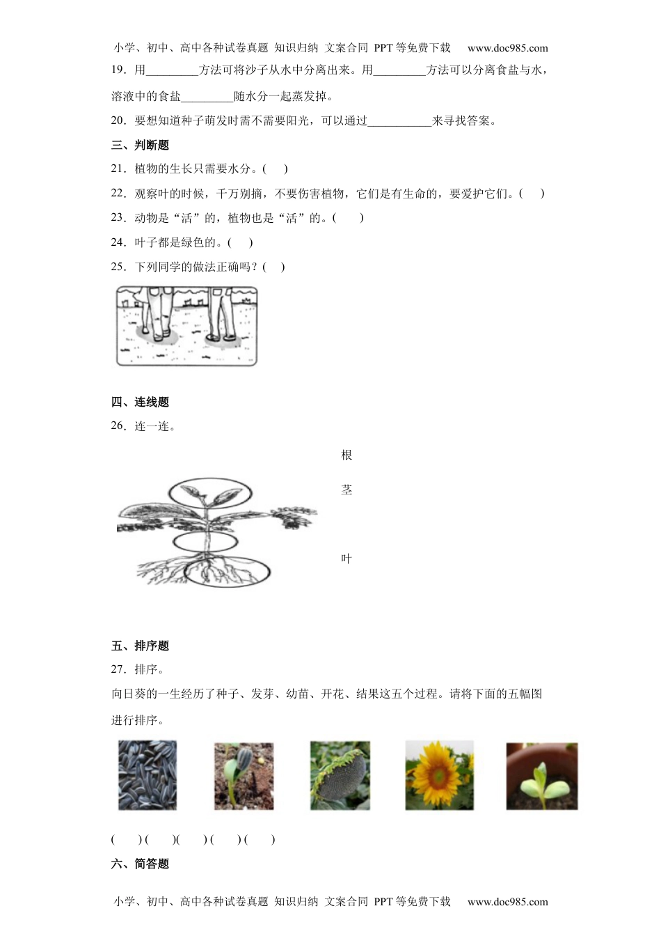 一年级科学上册教科版 一年级上册第一单元植物单元测试卷（含答案).1 (1).docx