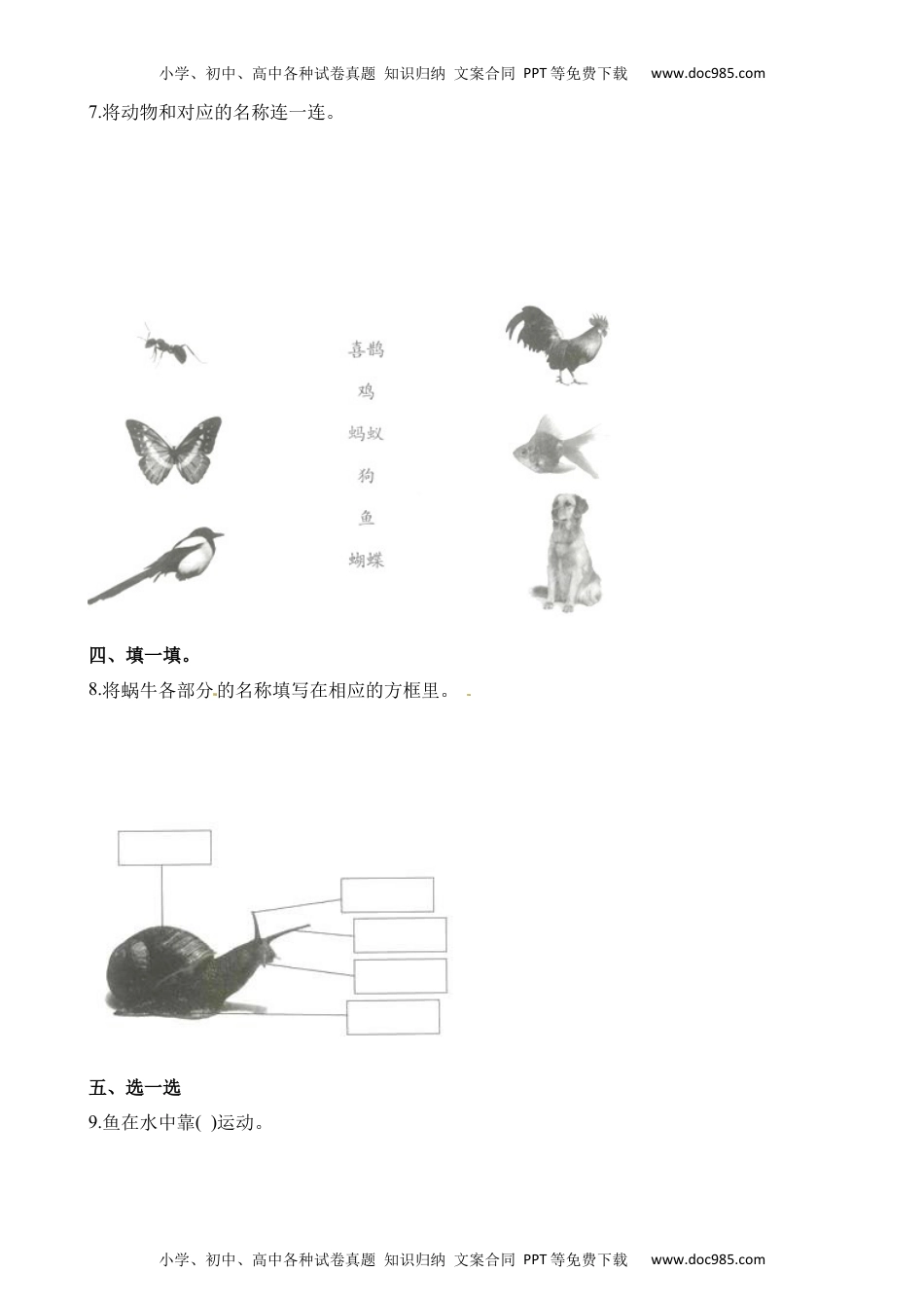 一年级科学下册教科版一年级下册第2单元 动物 单元测试(a卷)（含解析）.docx