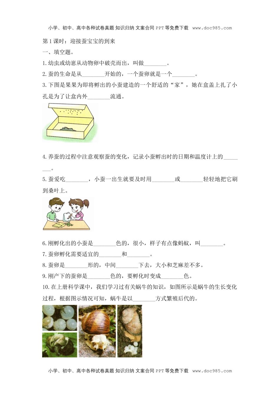 三年级科学下册【课堂练】《迎接蚕宝宝的到来》基础启航.docx