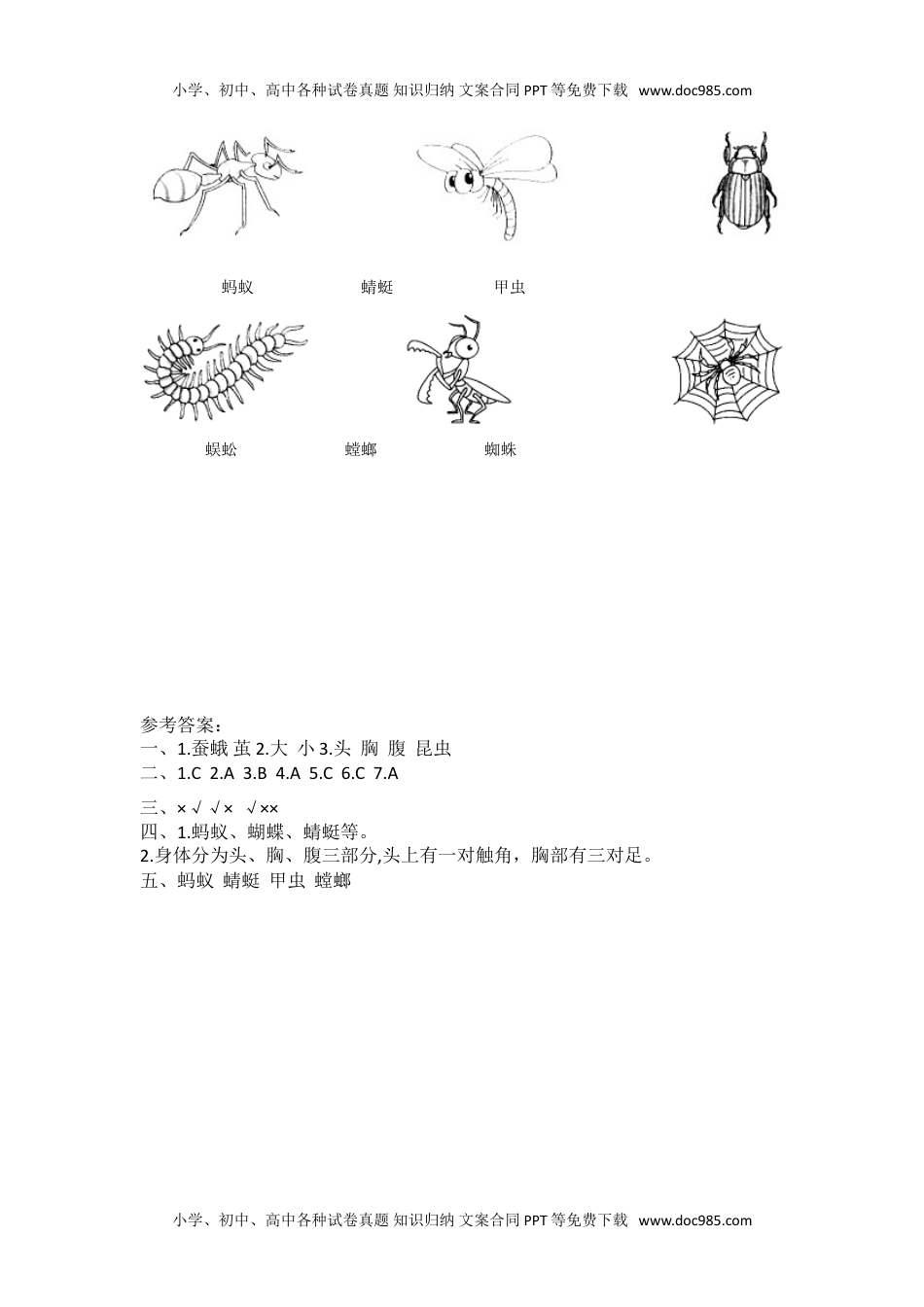 三年级科学下册2.5.茧中钻出了蚕蛾（练习题）.doc