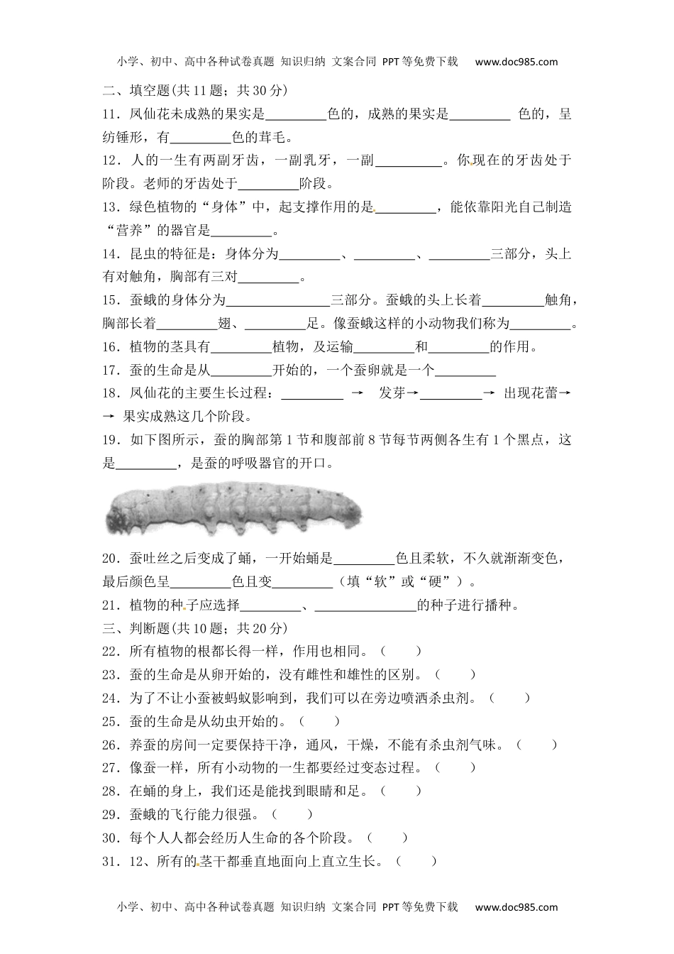 三年级科学下册《三年级下册科学测试卷（提升卷）》期中检测.docx