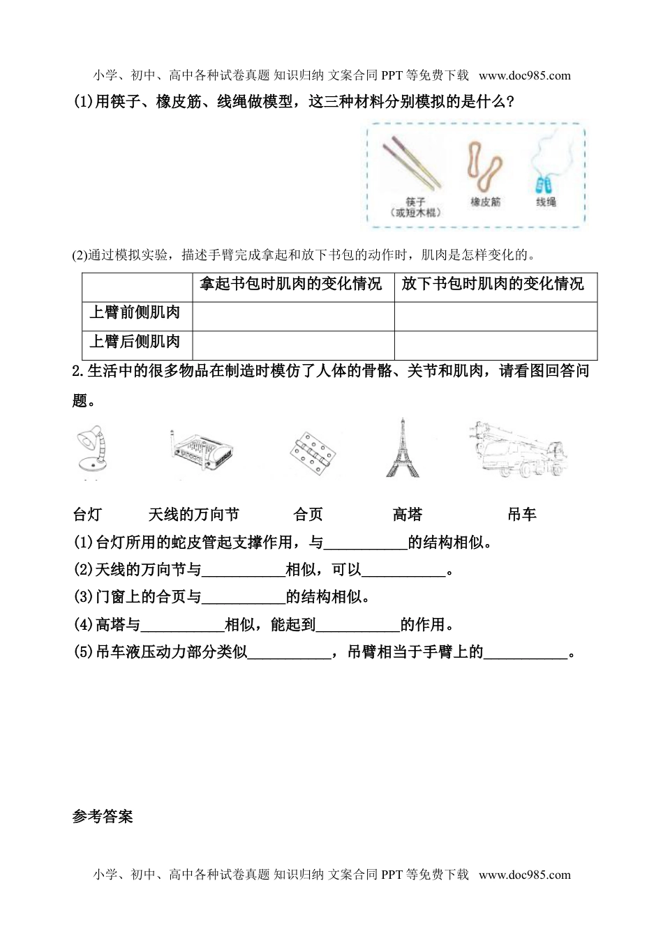 五年级科学上册五年级科学上册同步练习-4.2《身体的运动》教科版（含答案）.doc