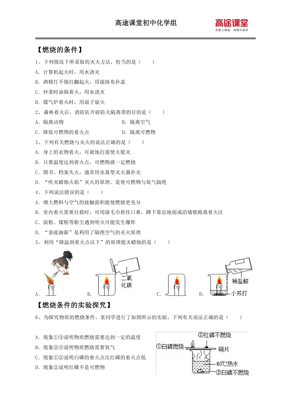 化学专项训练10.燃料燃烧及化学与生活.pdf