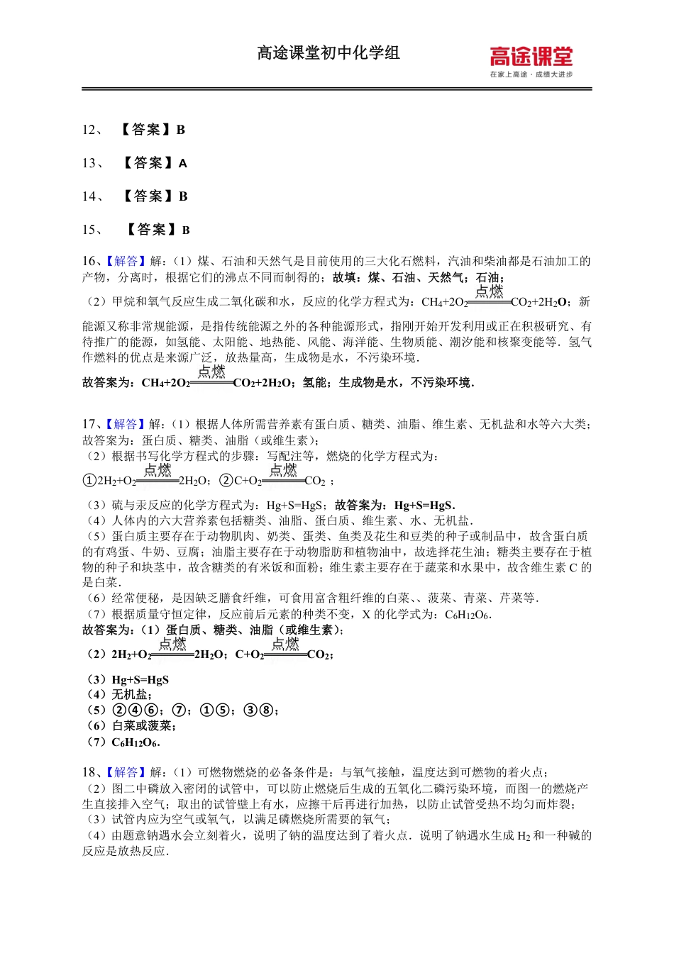 化学专项训练10.燃料燃烧及化学与生活答案.pdf