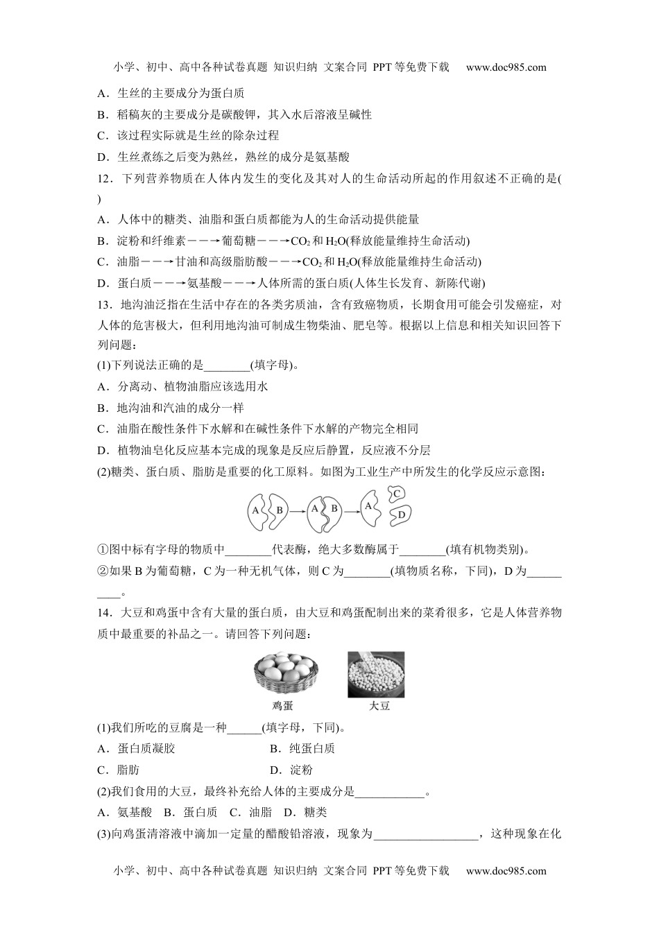 新教材高中化学必修二 同步讲义（学生版）新教材高中化学必修二 同步讲义（学生版）第7章 第4节 第2课时　蛋白质　油脂.docx