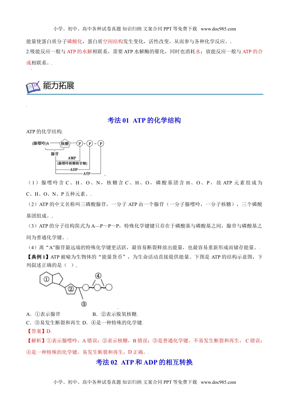 5.2 细胞的能量“货币”ATP（教师版）-高一生物同步精品讲义（人教2019必修1）.doc