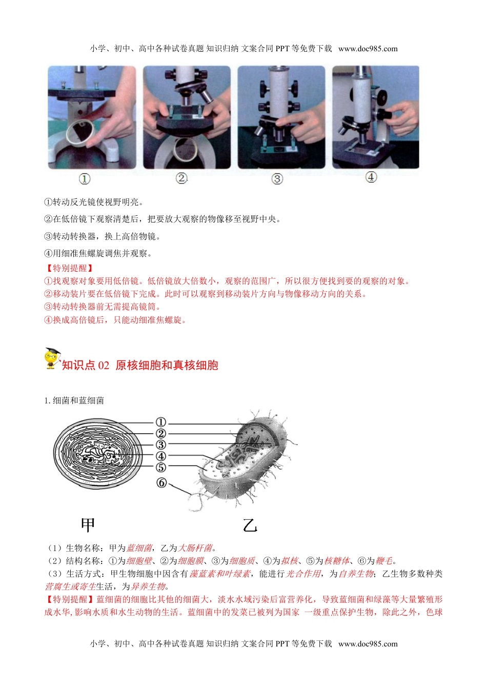 1.2 细胞的多样性和统一性（教师版）-高一生物同步精品讲义（人教2019必修1）.doc