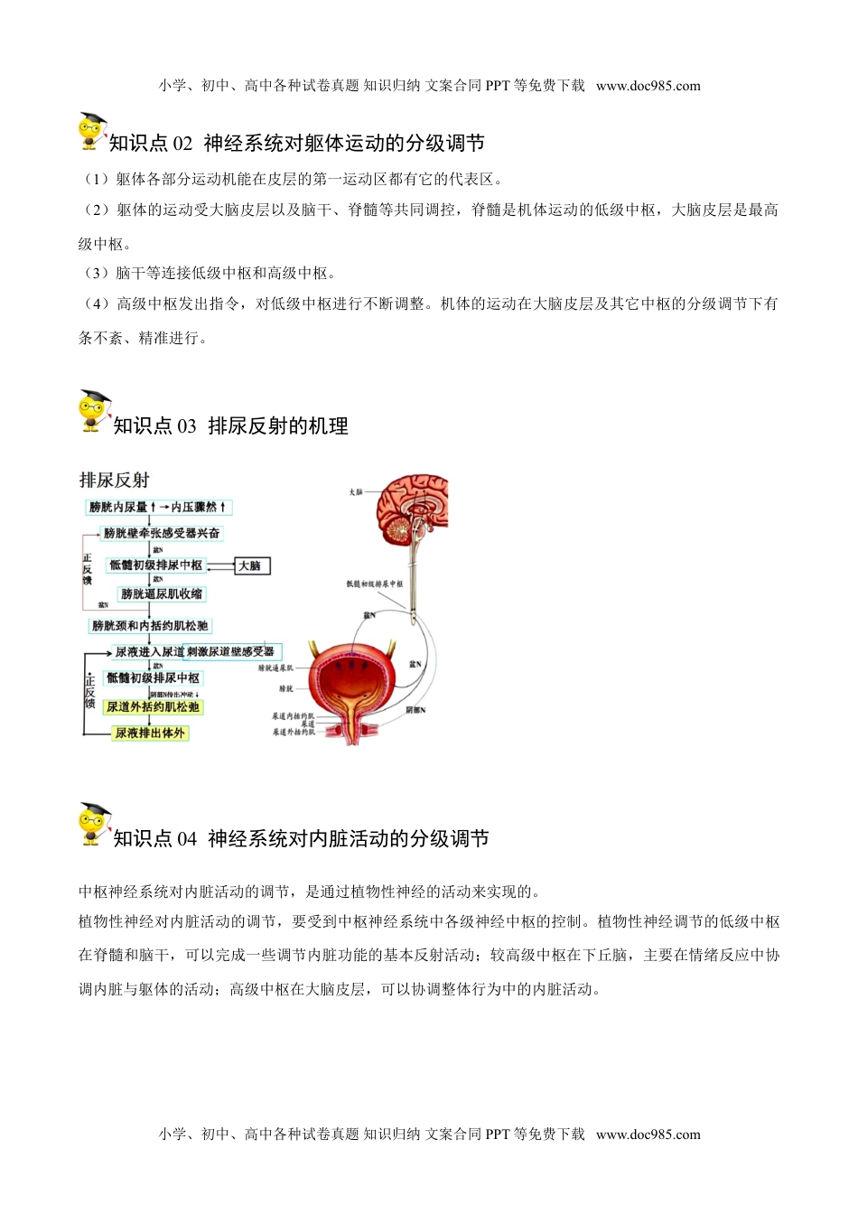 2.4 神经系统的分级调节（学生版）-高二生物同步精品讲义（人教版2019选择性必修1）.doc