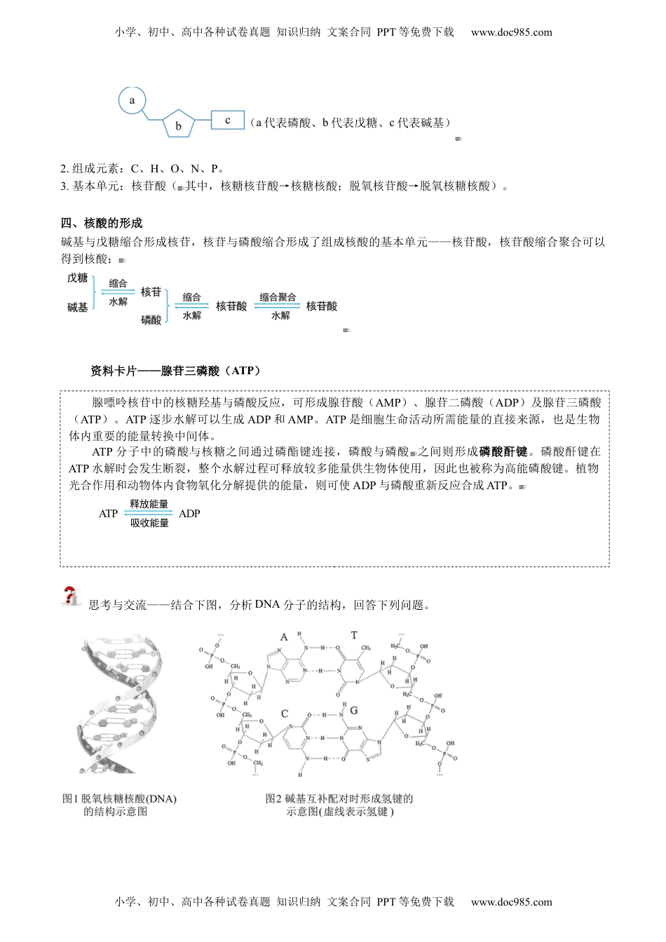 第25讲 核酸（学生版）-高二化学同步精品讲义（人教2019选择性必修3）.docx