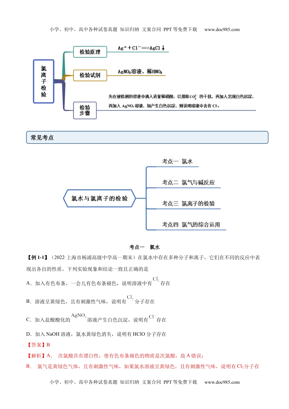 高中化学必修第一册同步试题2.2.2 氯水与氯离子的检验（精讲）（解析版）.docx