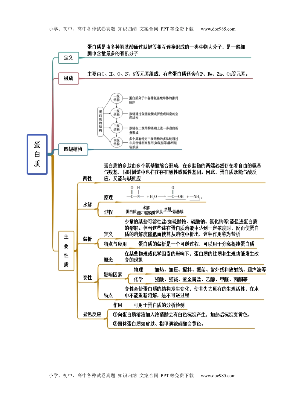 高中化学选择性必修3 同步试题4.2 蛋白质（精讲）（解析版） .docx