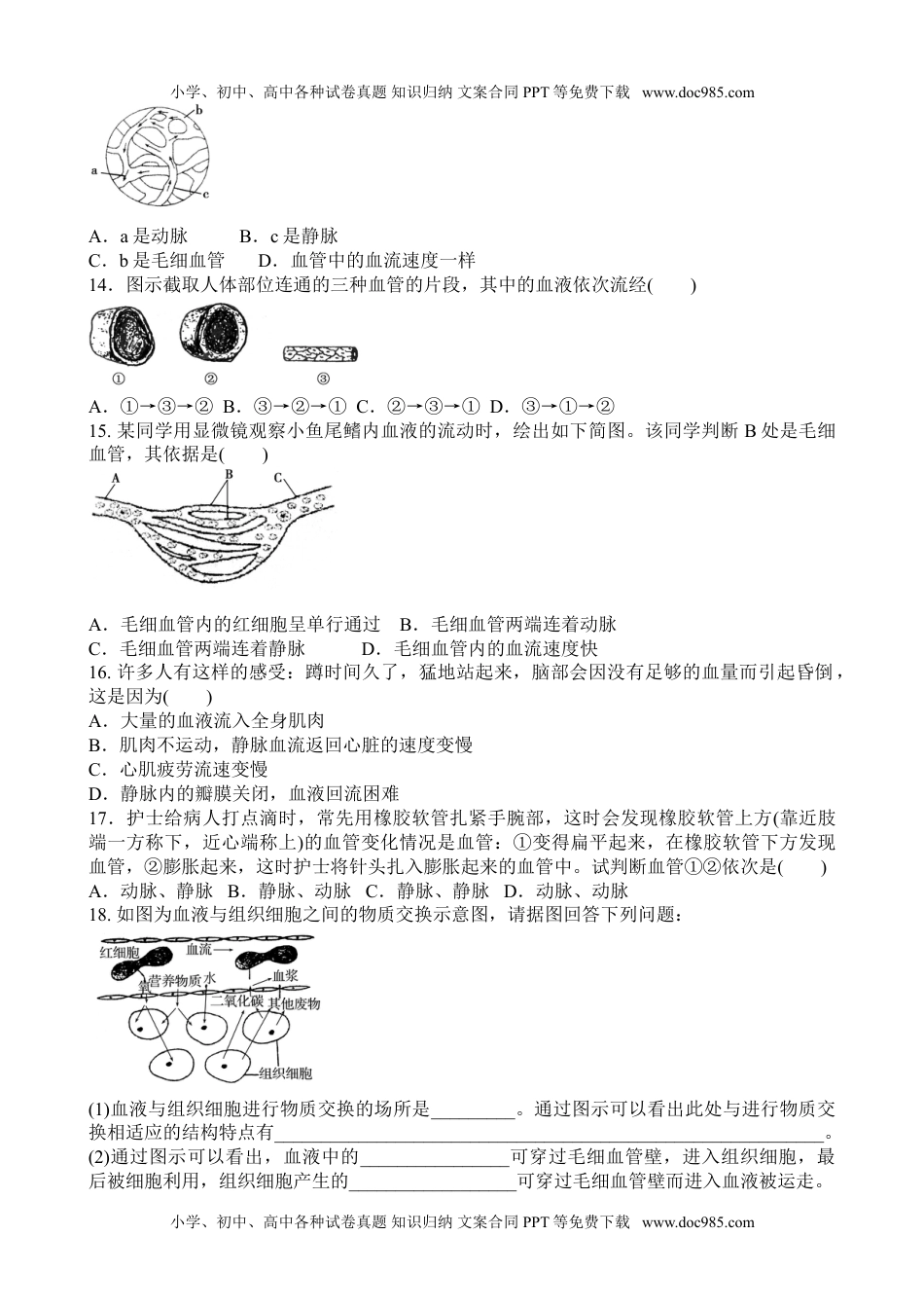 人教版生物七年级下册 第四章 人体内物质的运输 第二节　血流的管道—血管 同步练习题 含答案.doc