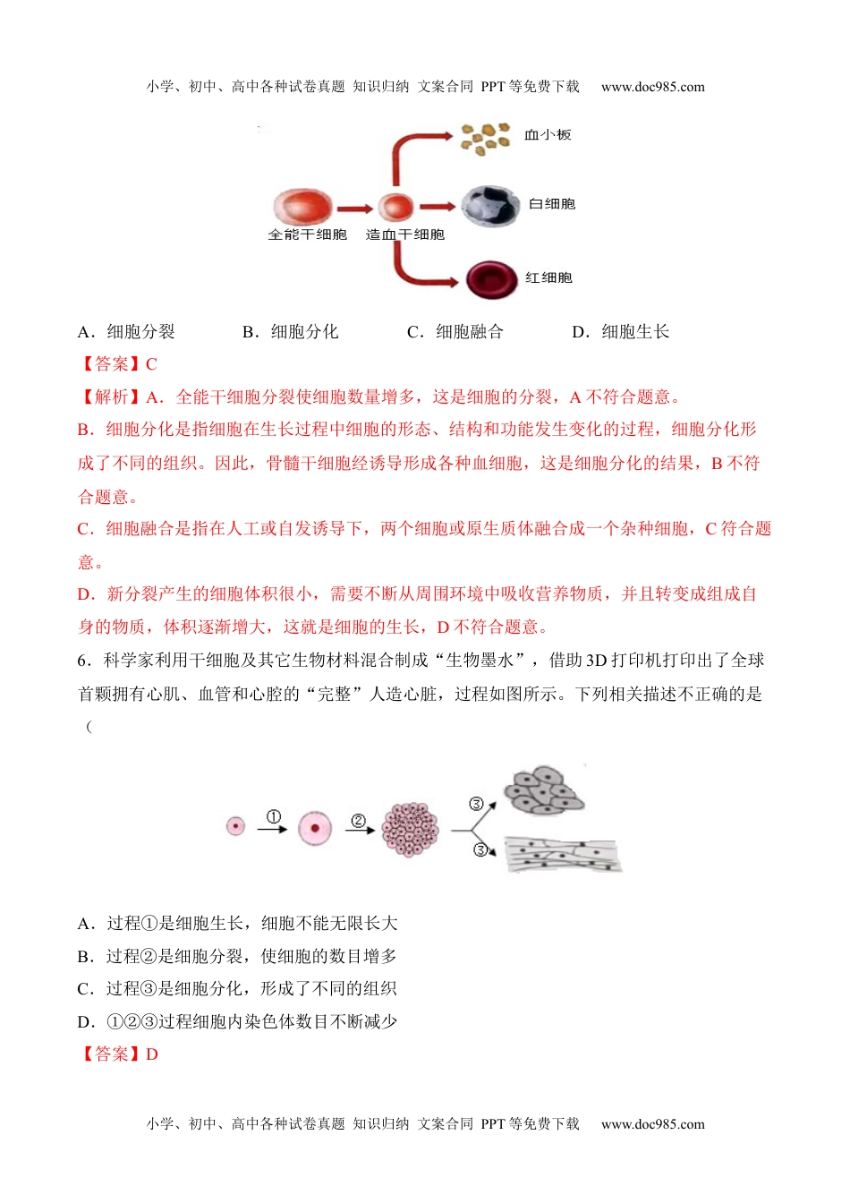 2.2.2 动物体的结构层次（习题）-2022-2023学年七年级生物上册同步优质备课资源（人教版）（解析版）.docx