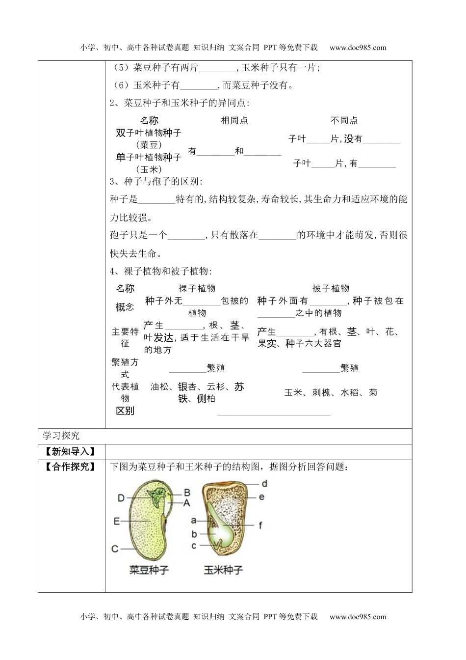 3.1.2 种子植物（学案）-2022-2023学年七年级生物上册同步优质备课资源（人教版）.docx