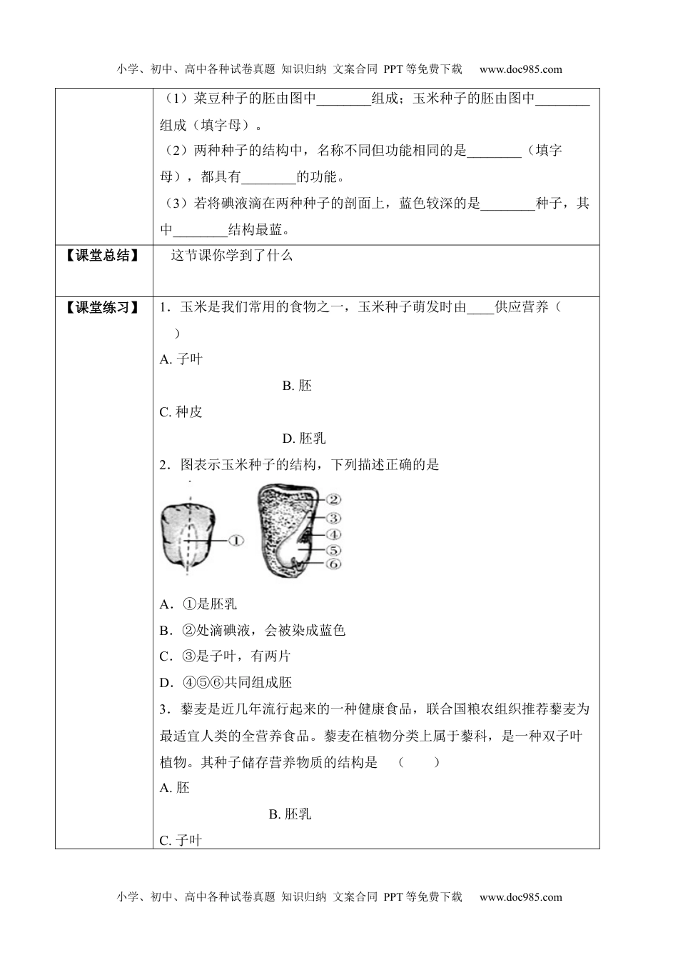 3.1.2 种子植物（学案）-2022-2023学年七年级生物上册同步优质备课资源（人教版）.docx