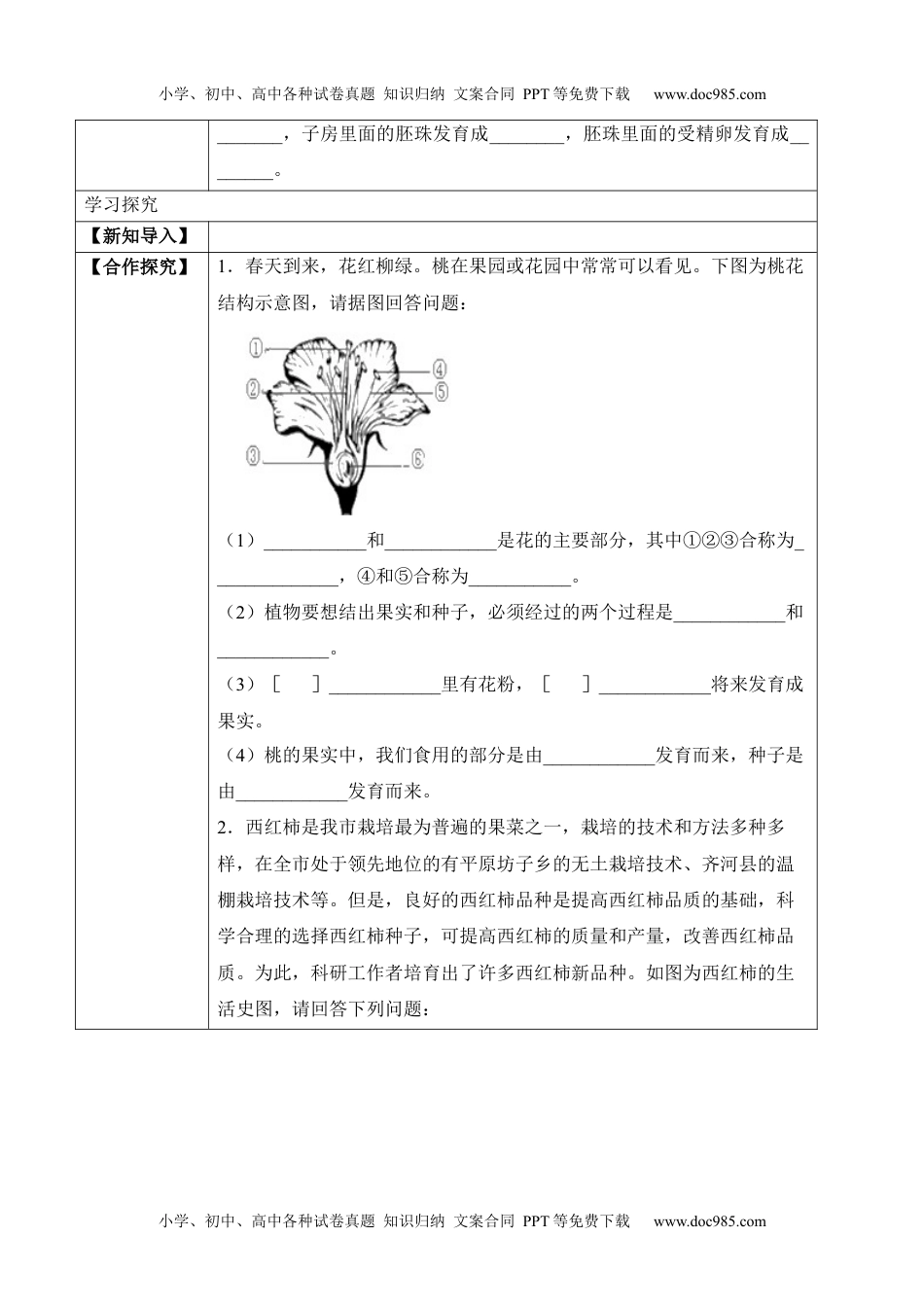 3.2.3 开花和结果（学案）-2022-2023学年七年级生物上册同步优质备课资源（人教版）.docx