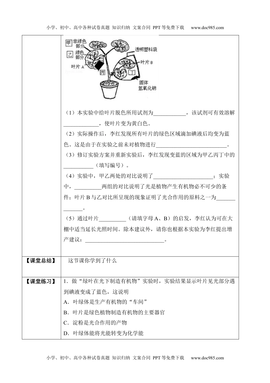 3.4 绿色植物是生物圈中有机物的制造者（学案）-2022-2023学年七年级生物上册同步优质备课资源（人教版）.docx