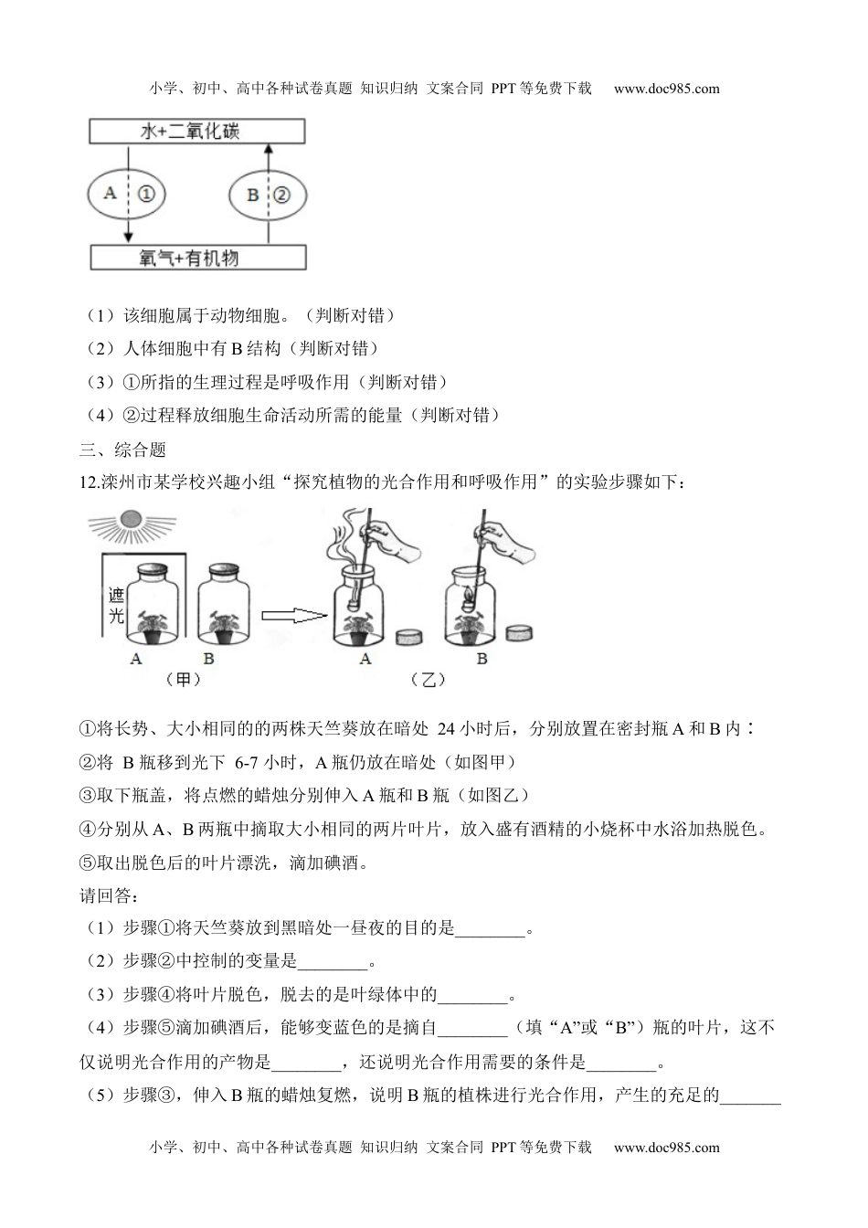 3.5.2 绿色植物的呼吸作用（习题）-2022-2023学年七年级生物上册同步优质备课资源（人教版）（原卷版）.docx