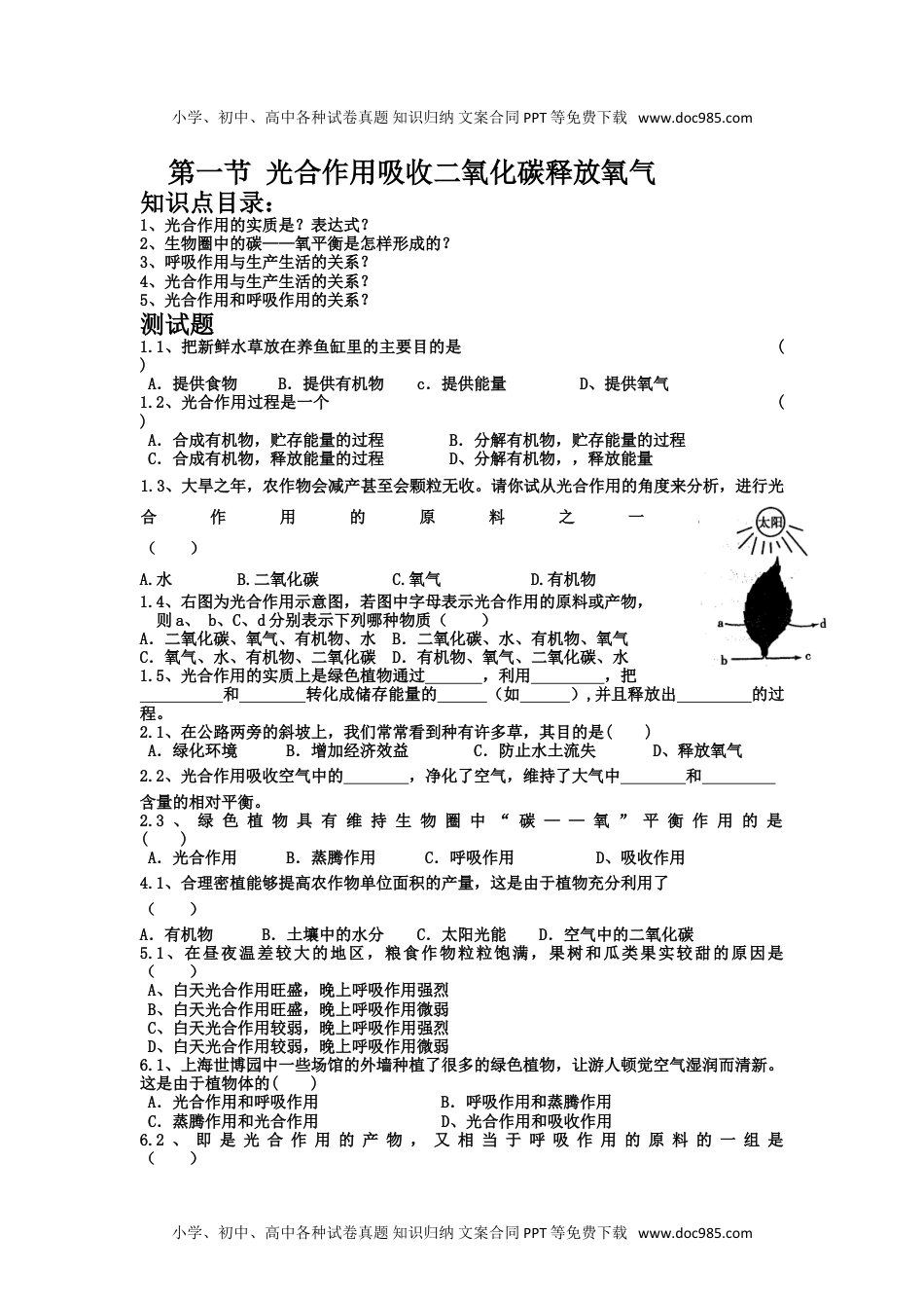 初中七年级生物上册《光合作用吸收二氧化碳释放氧气》习题5 含答案.doc