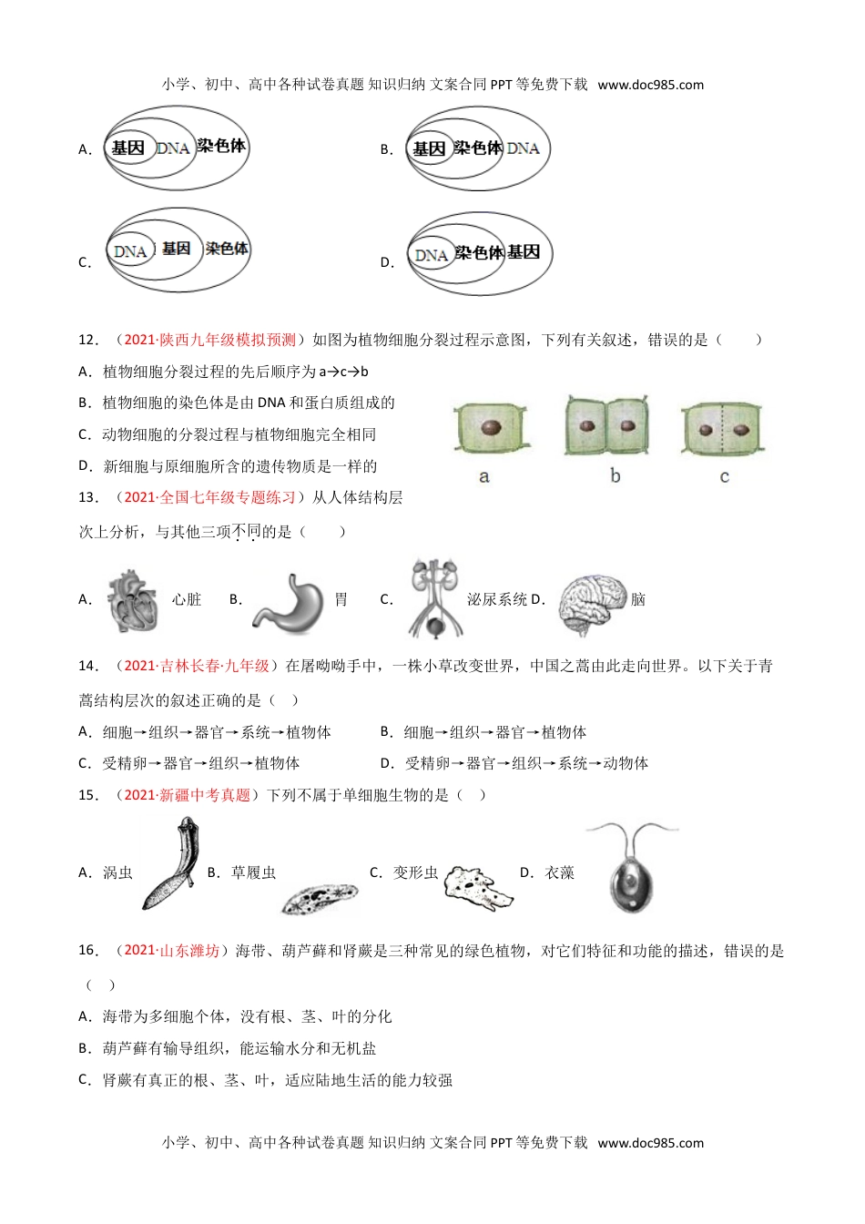 初中七年级生物上册期末测试（B卷·提升能力）（原卷版）.doc